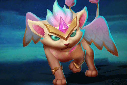 Skygem Protector